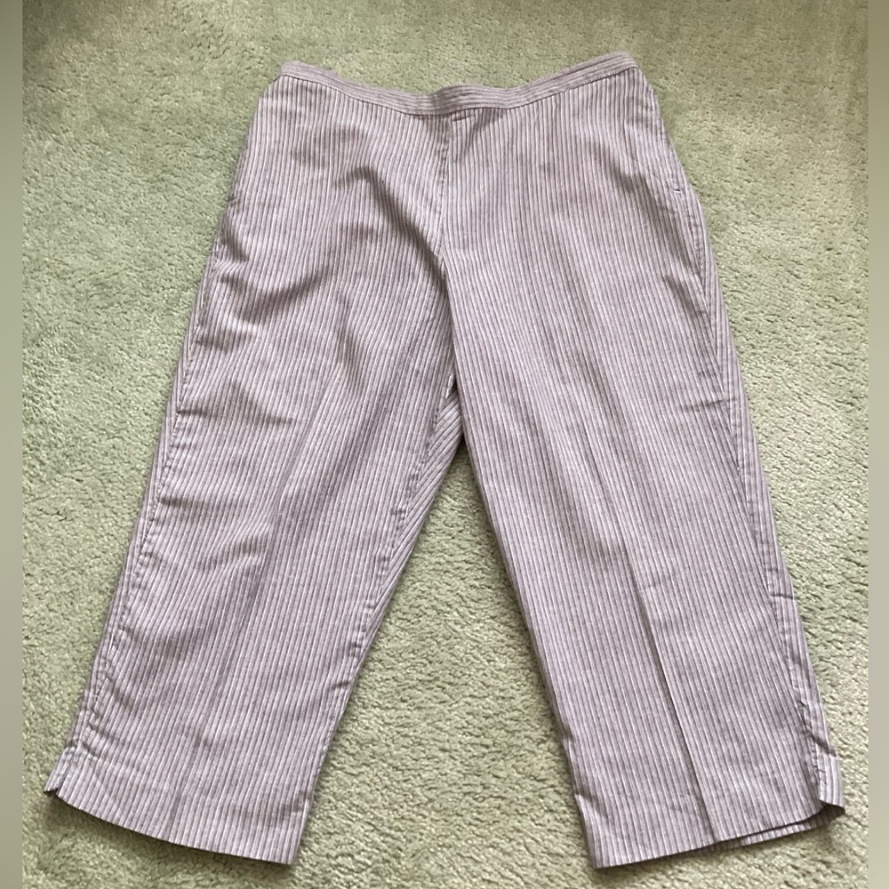 Alfred Dunner Gray Striped Capris